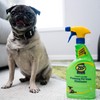 Zep Home Pro Foaming Pet Stain Eliminator - 24 Fl.