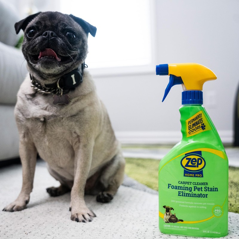 Zep Home Pro Foaming Pet Stain Eliminator - 24 Fl.