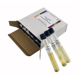 Sabouraud Dextrose Broth Tubes, Pack of 12 - Sterile Microbiological Culture Media - The Curated Chemical Collection by Innovating Science