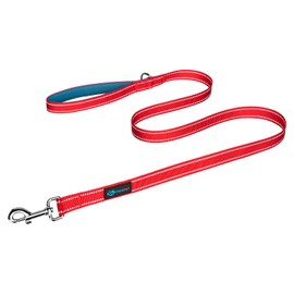 PHOEPET 5 Feet Dog Leash with Comfortable Padded Handle Easy Snap Clasp - Reflective Walking Lead for Large, Medium & Small Breed Dogs (Red + Teal Base)