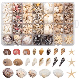 SKOOLOVE 9 tipi di piccole ciotole marine e 20 pezzi di piccole stelle marine ciotole naturali per artigianato, decorazioni candele, vaso, tema festa in spiaggia, decorazioni per la casa