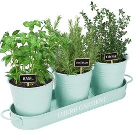 PERFNIQUE Indoor Herb Garden, Herb Planter for Indoor/Outdoor, Farmhouse Plant Pots, Windowsill Herb Garden with Tray(Planter only) Window Pots