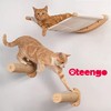 Oteengo Cat Wall Shelves with Hammock & Steps – Mounted
