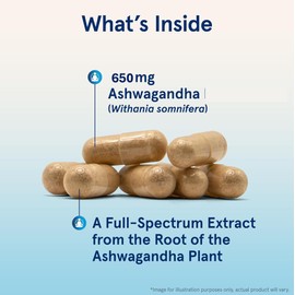 Wellova Women's Ashwagandha | Promotes Stress Relief & Mood Support | Supports Clarity & Memory | Provides Focus and Increased Energy | Superior Pure Organic Absorption | 60 Capsules