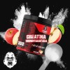 Creatina Monohidratada 500gr Strong Protein 100 Servicios