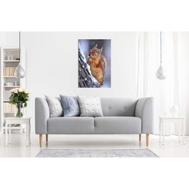 Panther Print Fine Art Prints Chilly Cute Red Squirrel Wildlife Artistic Framed Canvas Print, Pictures for Home Walls, Bedroom, Living Room & Bathroom Decor 31x20cm (12x8in)