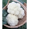 Cauliflower ‘Amazing Taste’