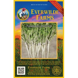Everwilde Farms - 1000 Hamburg Rooted Parsley Seeds - Gold Vault Jumbo Seed Packet