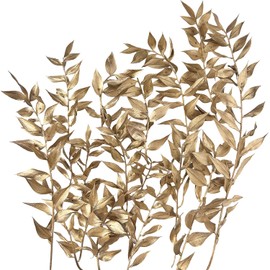 Dried Flowers, Dried Ruscus, Dry Dried Flowers Crafts for Diy Arts Resin Scrapbooking Jewelry Making Floral Decorations Cupcake Decorating (Gold)