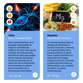 Sapientia CHILL - Nootrópico 100% Natural - Ayuda a reducir la ansiedad - GABA, Melisa, Pasiflora, L-Teanina, Vitaminas B1, B3 Y B6.