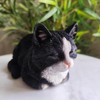 Vivid Arts Dreaming Cat Black & White Ornament – Peaceful