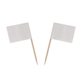 Honbay 100PCS Mini Blank White Flag Cheese Markers Labeling Picks for Fruit, Cupcake, Cheese, Cocktail, Appetizers, etc