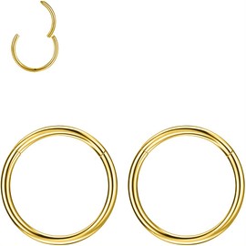 PunkTracker 2Pcs 20G 18G 16G 6/7/8/9/10mm Rings for Cartilage Tragus Helix Hoop Earrings Stainless Steel Nose Rings Nose Piercings Helix Conch Septum Jewellery - Silver/Gold/Rose Gold