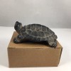 Japanese Cast Iron Hisabi Turtle Figurine Statue Paperweight Home Garden