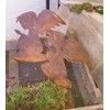 Rostikal Praying Rust Decorative Angel 30 cm Metal Decorative Figure