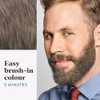 Just for men Moustache & Beard Jet Black Dye, Eliminates