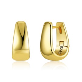 ALEXCRAFT 14K Chunky Gold Hoop Earrings for Women Small Huggie Hoops S925 Hypoallergenic Jewelry Gifts