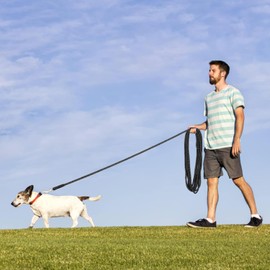 2Pcs Correas para Perros, 10m Manos Libres Correa de Adiestramiento, Larga y Resistente Correa para Perros para Camping, Adiestramiento, Paseos (Negro)