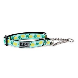 RC Pets 1" Martingale Training Collar, Medium, Pineapple Parade