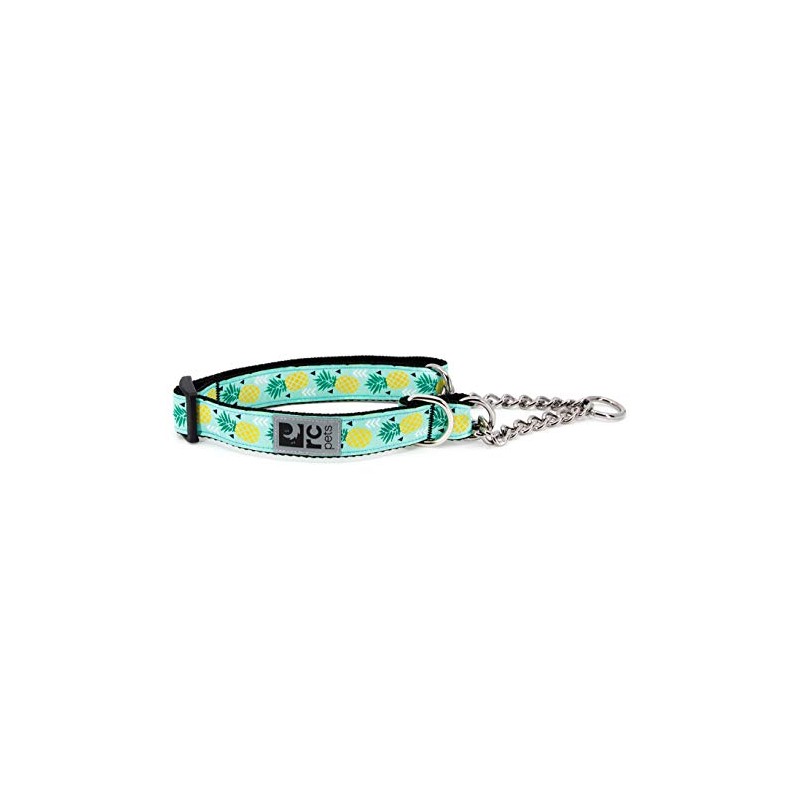 RC Pets 1" Martingale Training Collar, Medium, Pineapple Parade