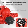 12V Pump, 2.5gpm-8amp-60psi, Chemical and Corrosion Resistant, Compatible with Roundup,