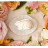 Gianna Rose Animal-Shaped Soap with Soap Dish, Rabbit, 2.5 oz