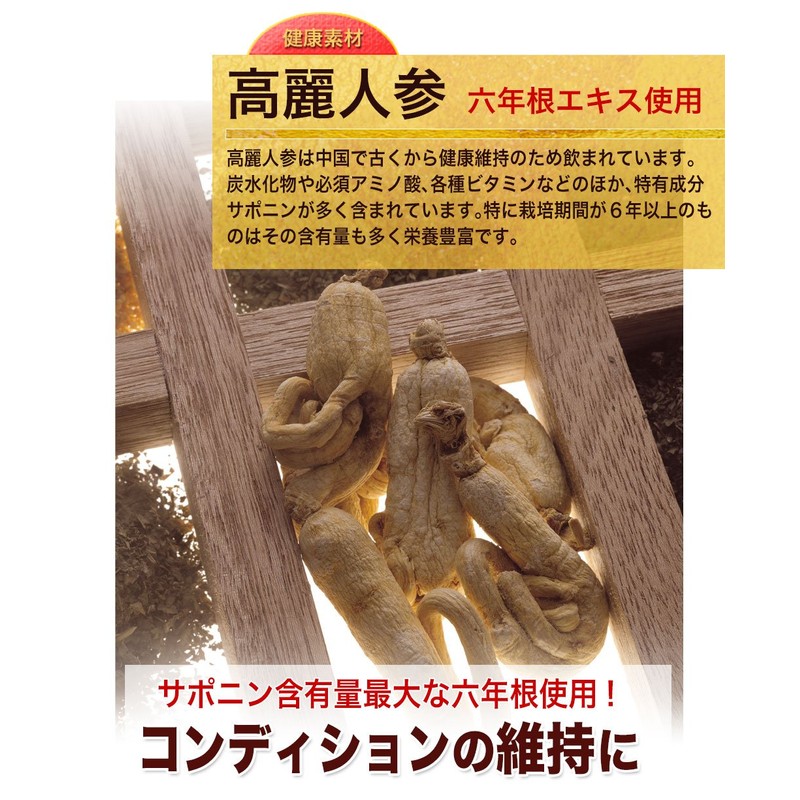 大日ヘルシーフーズ 霊芝にんにくの力 30粒入×3袋 にんにく卵黄 霊芝 高麗人参 マカ 亜鉛 配合 サプリ
