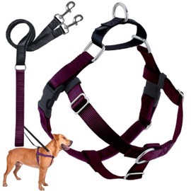 2 Hounds Design Freedom No-Pull Dog Harness with Leash, Burgundy, Medium (1")