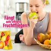 inseko Fruchtfliegen Falle I effektive Obstfliegenfalle I inkl. Fruchtfliegenköder und