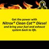 Nitrox Catalytic Converter Diesel Cleaner, 17 Fl Oz