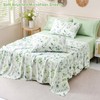Botanical 6-Piece Queen Bed Sheets Set, Boho Floral Print Brushed