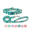 Olahibi Dog Collar and Leash Set, Cute Pink Daisy Pattern,