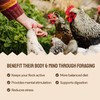 Hatortempt Chicken Feed Granules - 10 lb, Non-GMO - Protein-Rich