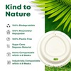DISPOSABLE GREEN - NEXTGEN Coffee Cups Lid, Double Wall Disposable