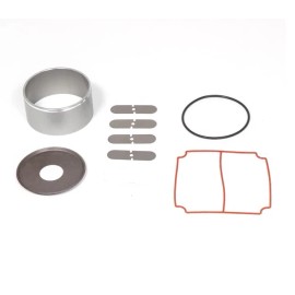 Thomas Industries Thomas Pump Brownies Third Lung Compressor Pump Service Rebuild Kit Scuba Air Pump Repair