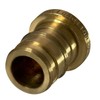 XFITTING Pex A 1/2 Inch Plug End Cap, 29-3-5=2XX, 2