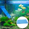 Saim 2 PCS Angelfish Discus Fish Breeding Slate Fish with