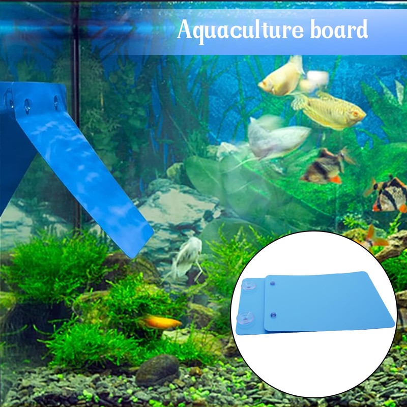 Saim 2 PCS Angelfish Discus Fish Breeding Slate Fish with
