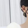 Butterfly Tassel Style Zircon Earrings, Butterfly Flowers Tassel Long Earring,