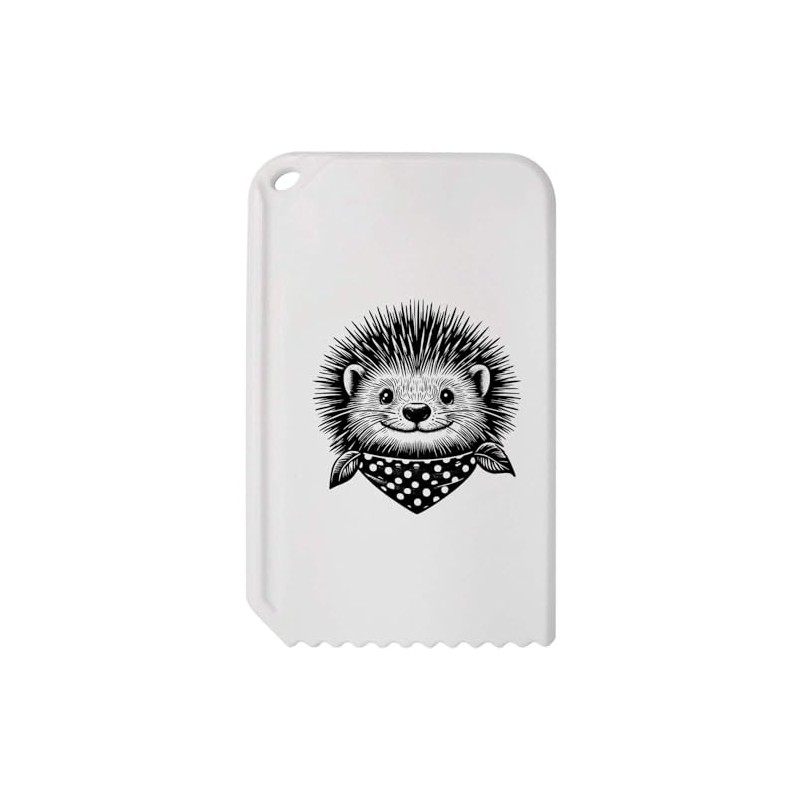 Azeeda 'Happy Hedgehog' Plastic Ice Scraper (IC00035440)