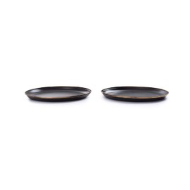 BAREBONES Enamel Plate, Set of 2, Plate (11.0 inch (27.9 mm), Charcoal)