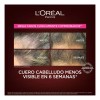 L'oréal Paris Serum Capilar Antiquiebre Con Aminexil 102ml