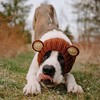 Zoo Snoods Grizzly Bear Costume - Warm Knit Dog Snood