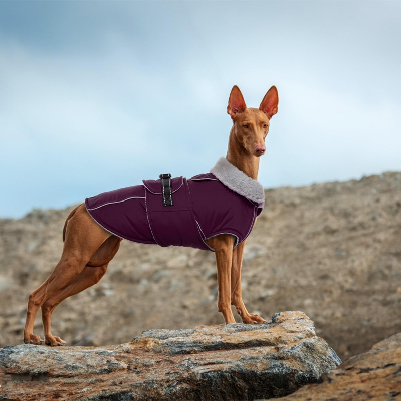 Lelepet Warm Dog Coat Waterproof Dog Jacket for Large Dogs