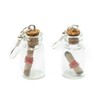 Miniblings Earrings Valentine Message Bottle Post Your Own Hangers Glas