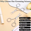 2 Pieces Facial Hair Small Scissors Eyebrow Scissors Professional Nose