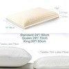 Talatex 100% Natural Premium Thin Latex Pillow, Ultra Thin Pillows,