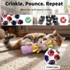 HoneyGuaridan Cat Toys Pillows, 4 Pack, Soft and Durable Crinkle