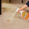 Krud Kutter CR326 Instant Carpet Cleaner/Stain Remover Plus Deodorizer Spray,