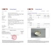 LETAOTAO Luxury Gold Rim Porcelain Dinnerware Set Nordic Style High